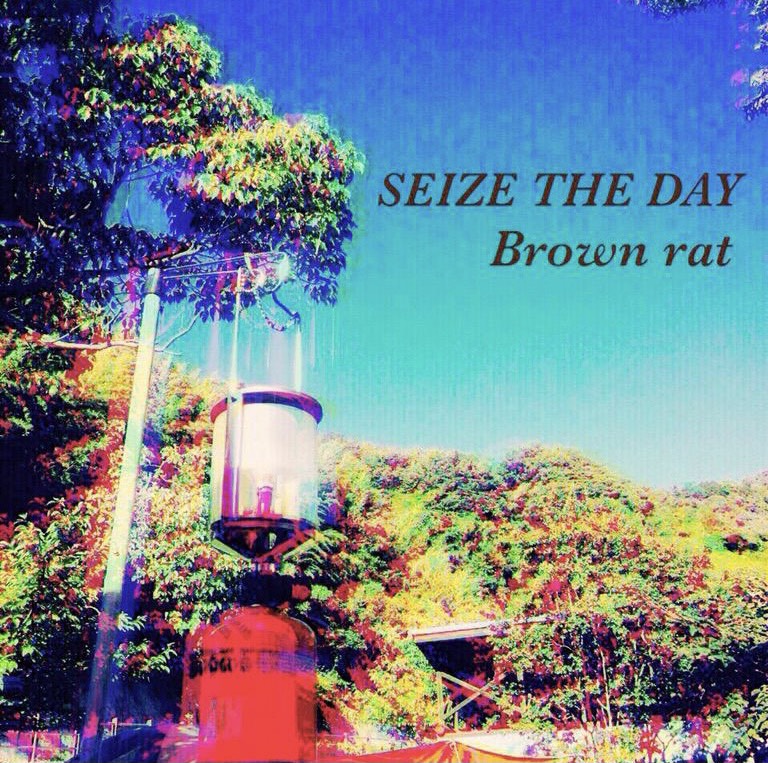 SEIZE THE DAY