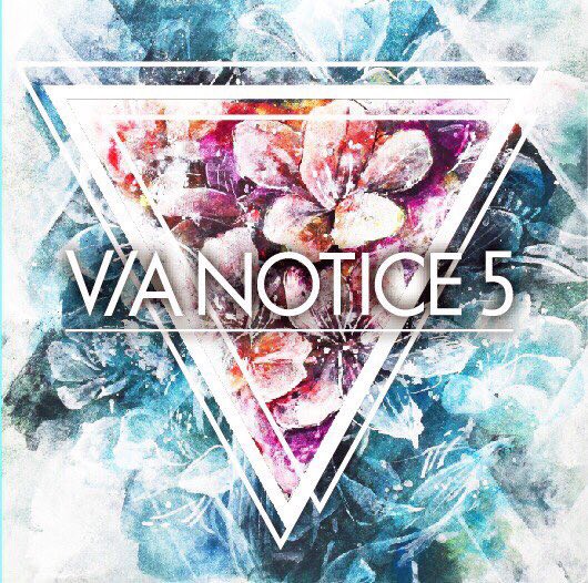 V/A NOTICE5